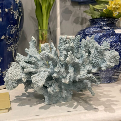 Coral bajo Celeste