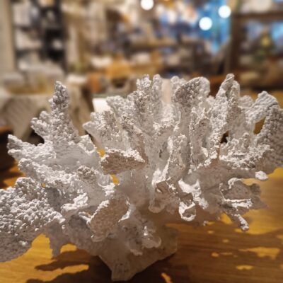 Adorno Coral Blanco