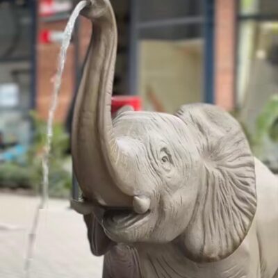 Fuente Elefante ( Disponible a los 20 días, después de su compra)
