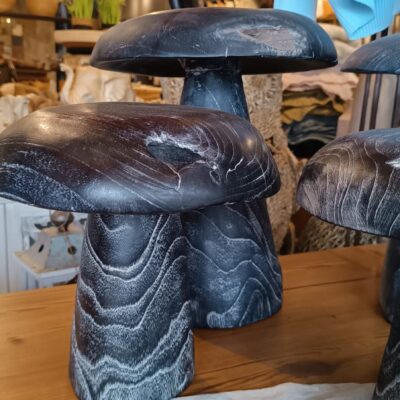 Hongos Decorativos