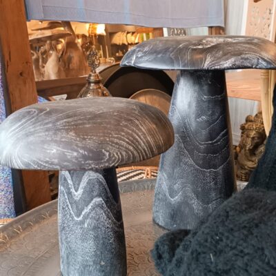 Hongos Decorativos