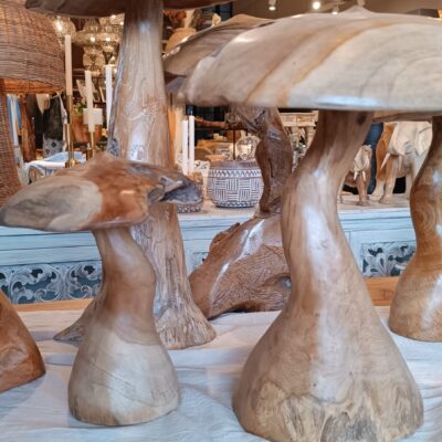 Hongos Decorativos
